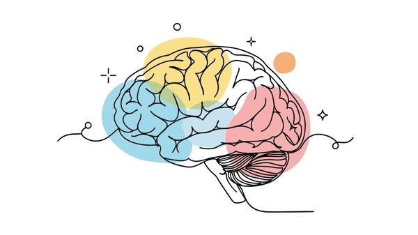 The Role of Adaptogens Like Rhodiola Rosea